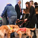 Two dogs greet each other, whilst people stand together during event.